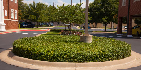 landscaping in parking areas