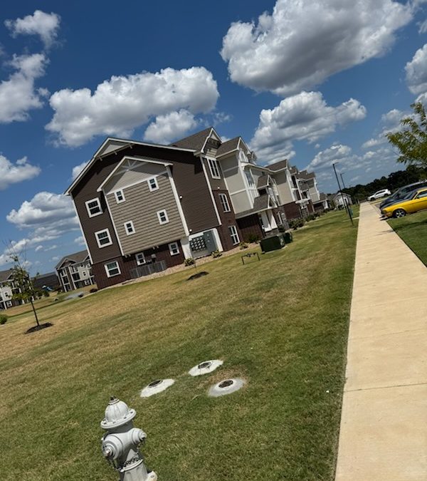Front yard landscaping