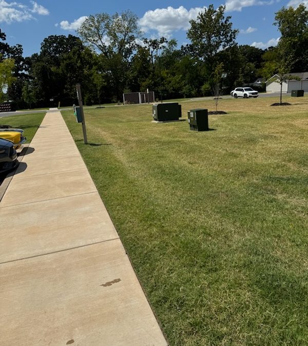 Lawn maintenance