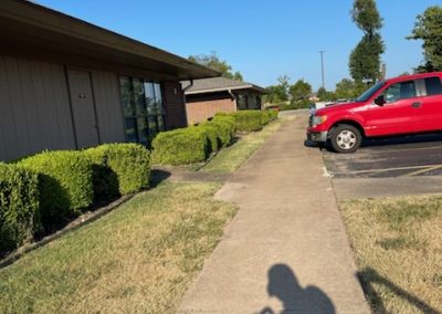 Driveway landscaping