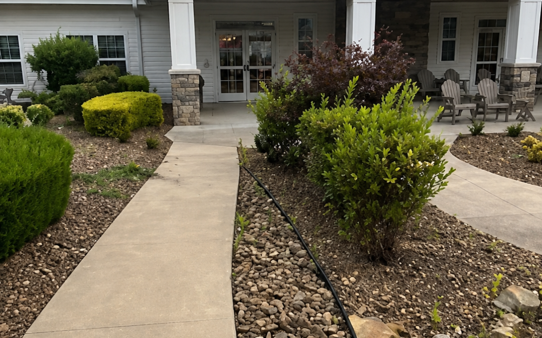 Residential landscape Design Project