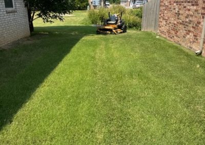 Backyard landscaping