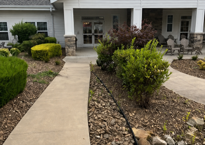 Residential landscape Design Project