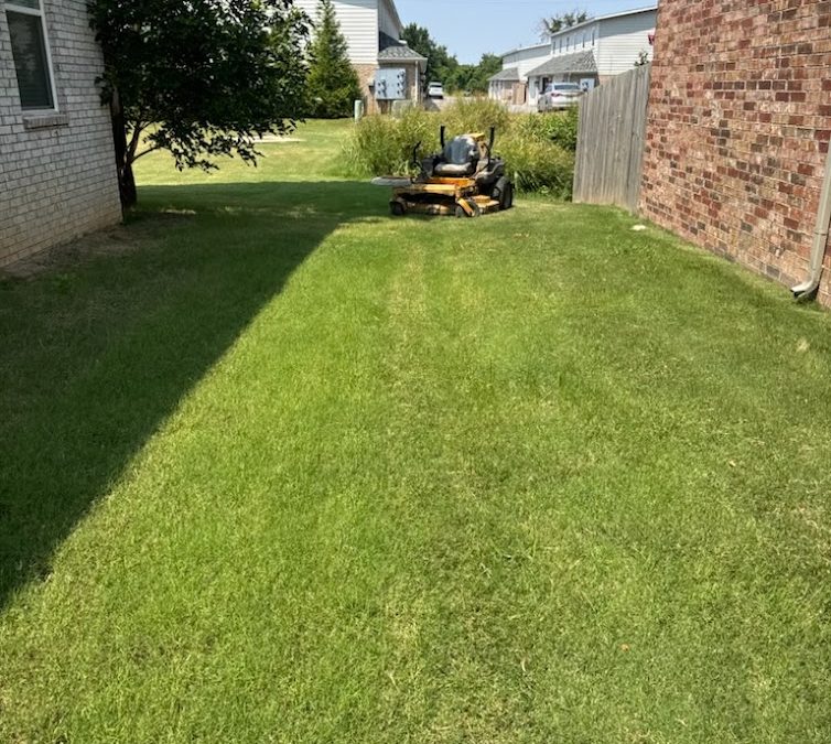 Backyard landscaping