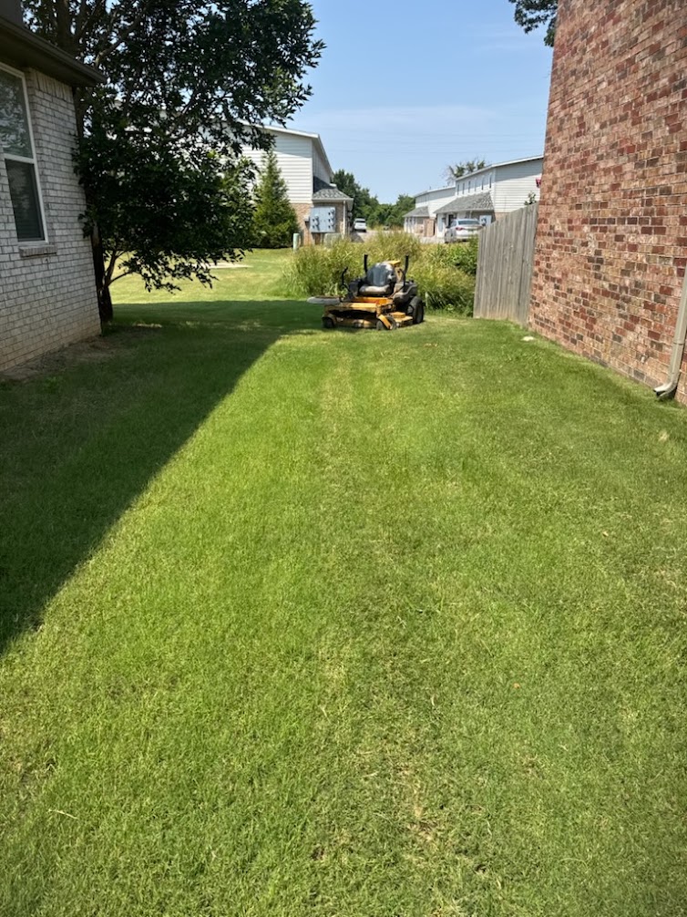 Backyard landscaping
