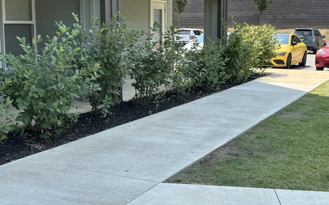 Lawn care service
