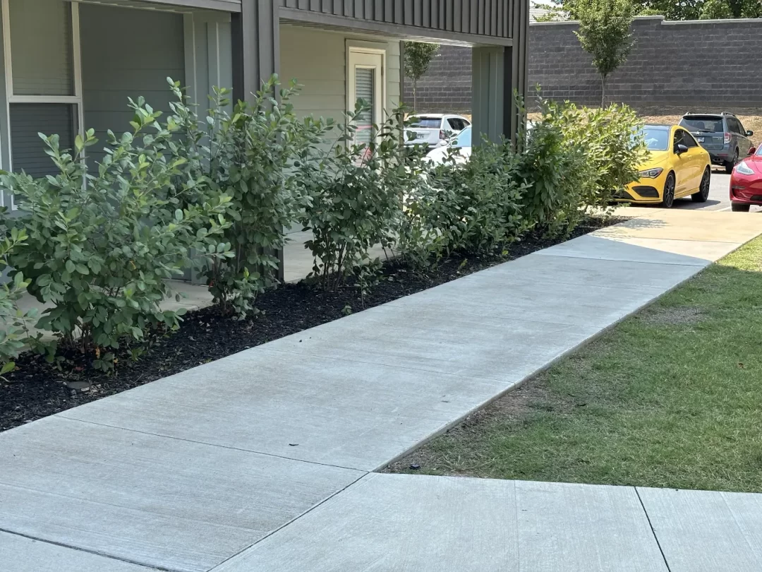 Lawn care service
