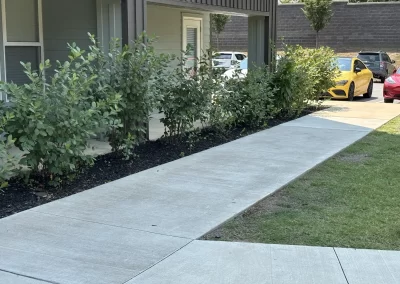 Lawn care service
