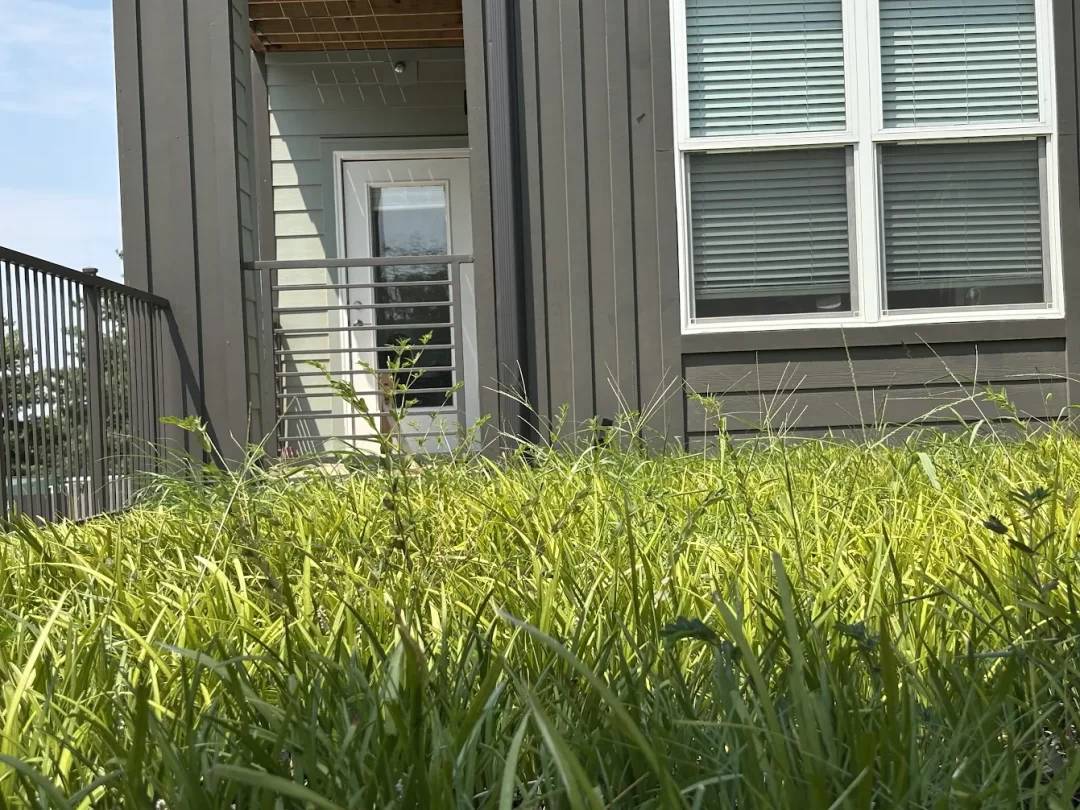 Landscaping maintenance