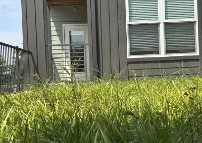 Landscaping maintenance