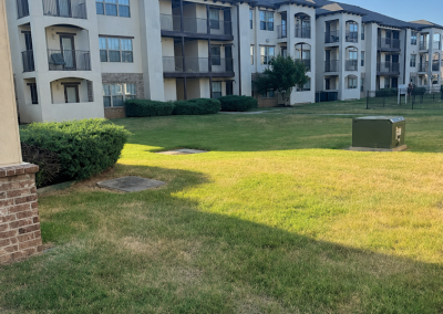 Commercial landscape design
