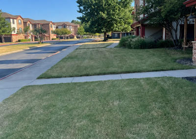 Outdoor landscaping