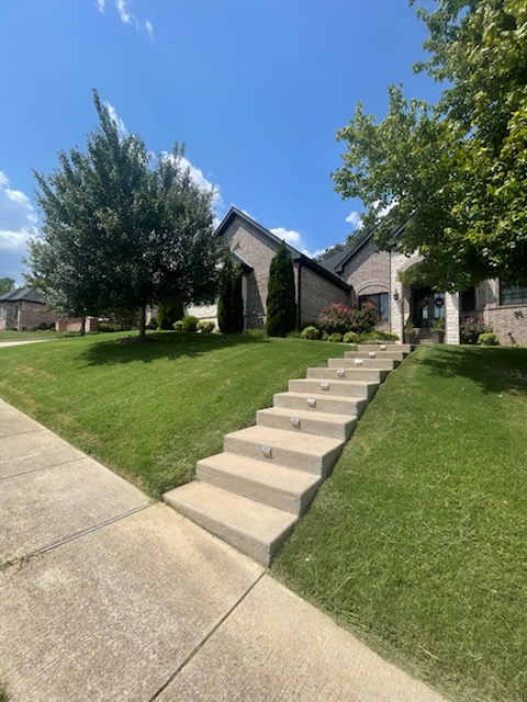 Front yard landscaping with concrete steps, lawn, trees, and landscaped garden