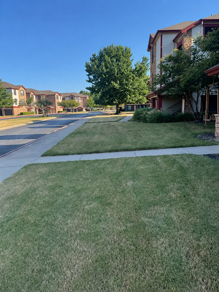 Residential community with well-maintained lawns, sidewalks, trees, and landscaped yards