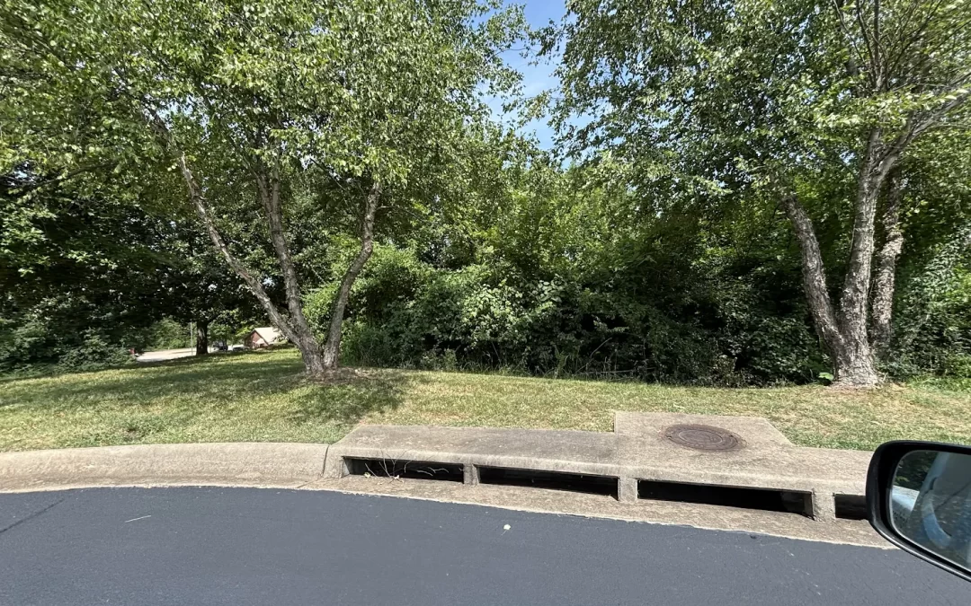 Backyard landscape