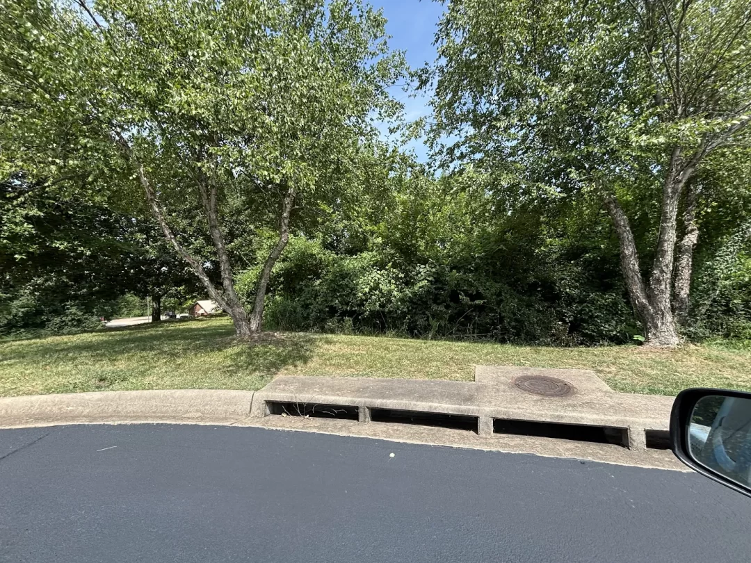 Backyard landscape
