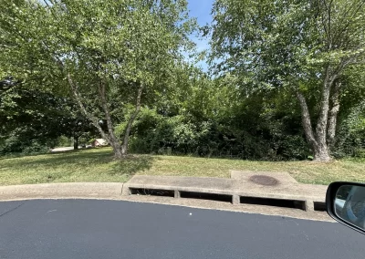 Backyard landscape