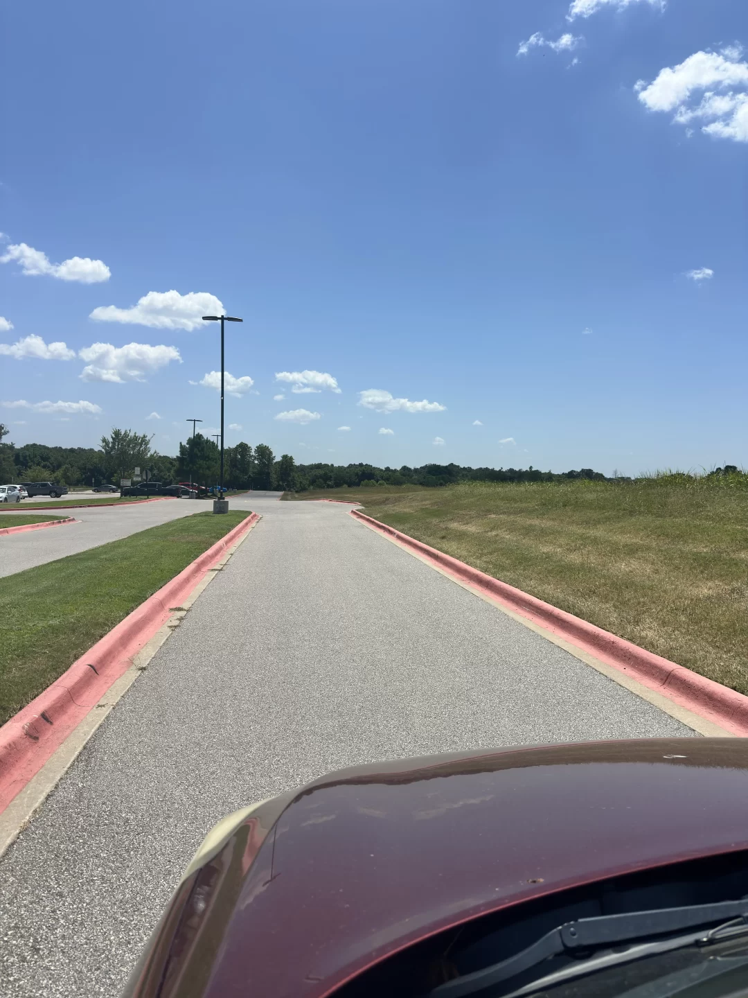 Commercial landscape design