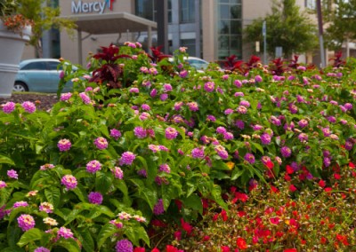 Property maintenance