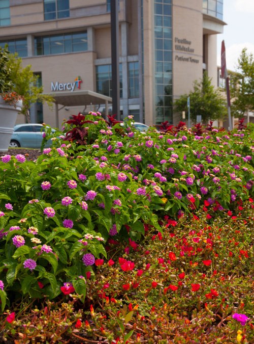 Property maintenance