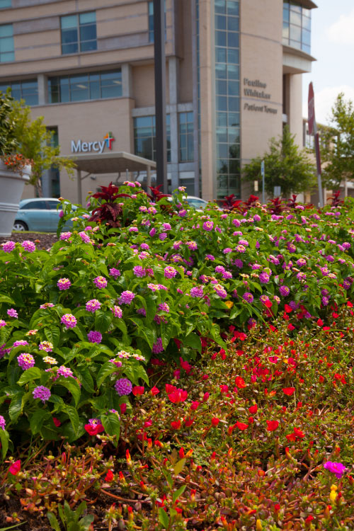 Property maintenance