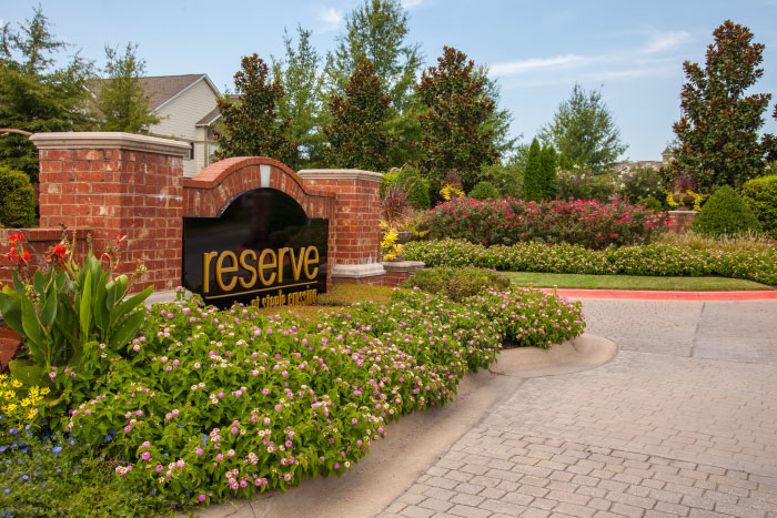 Driveway landscaping