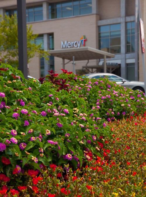 Commercial landscape design